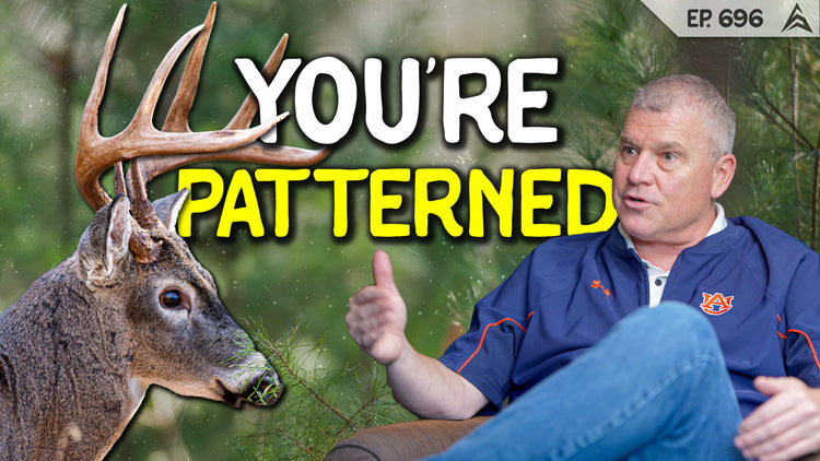 Why Deer Stop Moving When Hunting Season Starts (and How to Fix It)